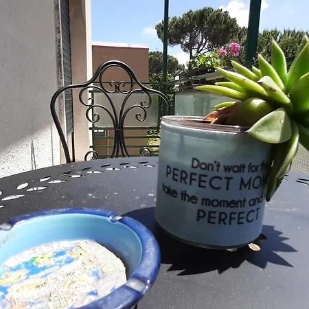 Sunny Sexy Grey & Cool Blue